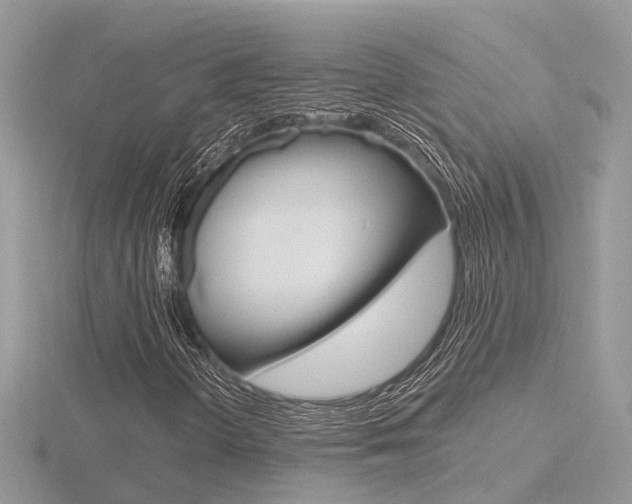 X0000116551298200912100954