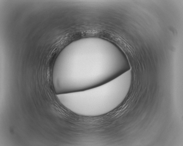 X0000116551299200912100954