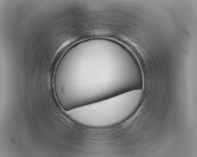 X0000116551306200912100955