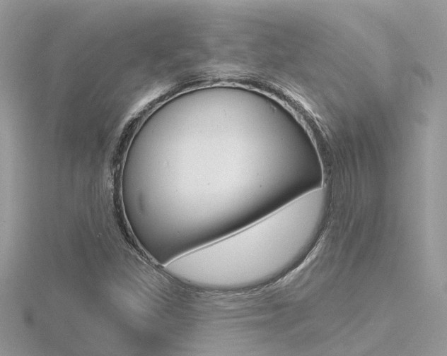 X0000116551309200912100955