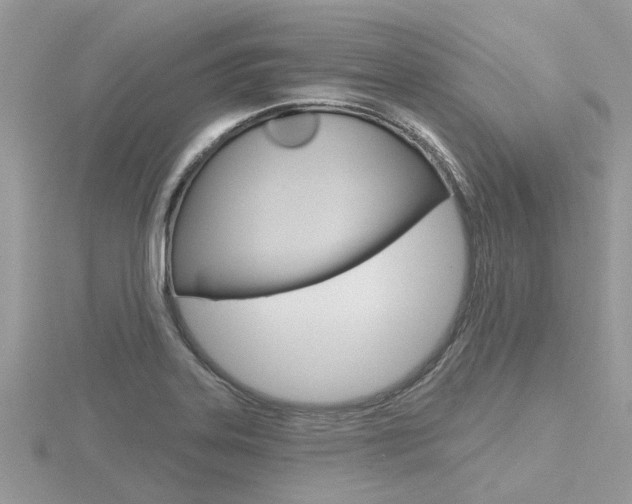 X0000116551323200912100955