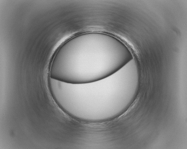 X0000116551325200912100955