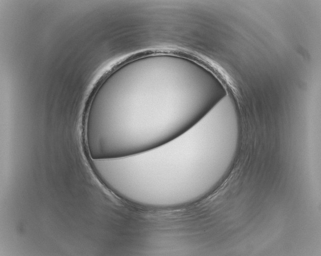 X0000116551327200912100955