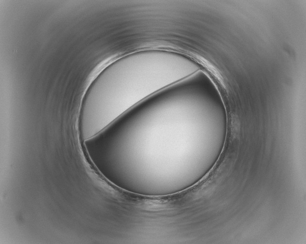 X0000116551330200912100955