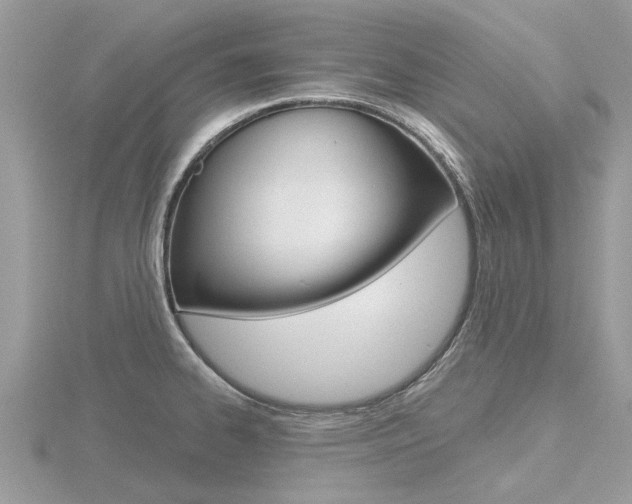 X0000116551334200912100955