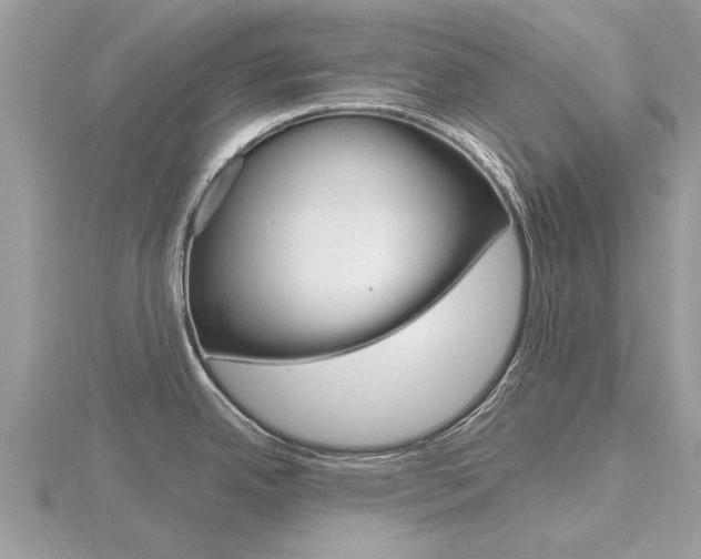 X0000116551342200912100955