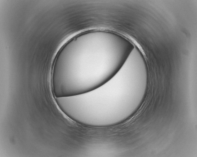 X0000116551343200912100955