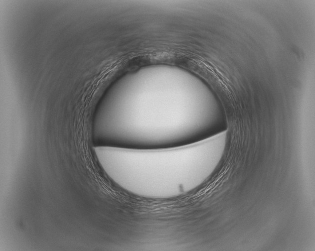 X0000116551345200912100954