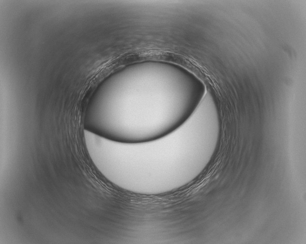 X0000116551348200912100954