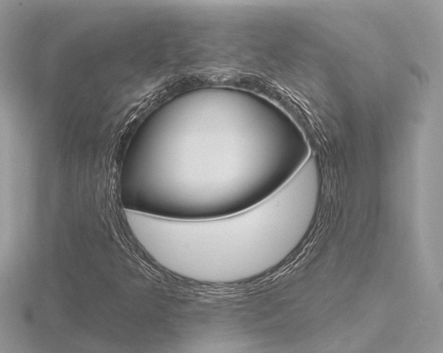 X0000116551349200912100954