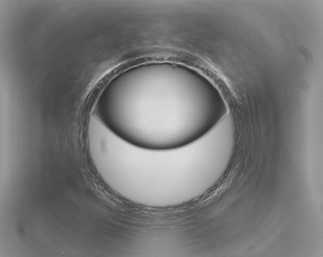 X0000116551352200912100954