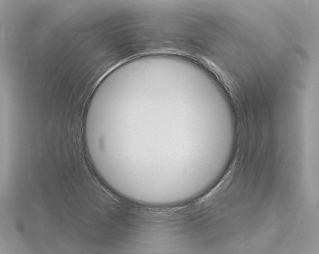 X0000116551361200912100954