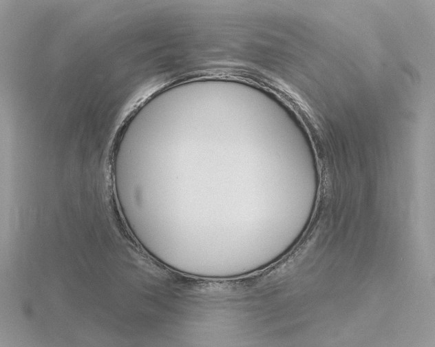 X0000116551362200912100954