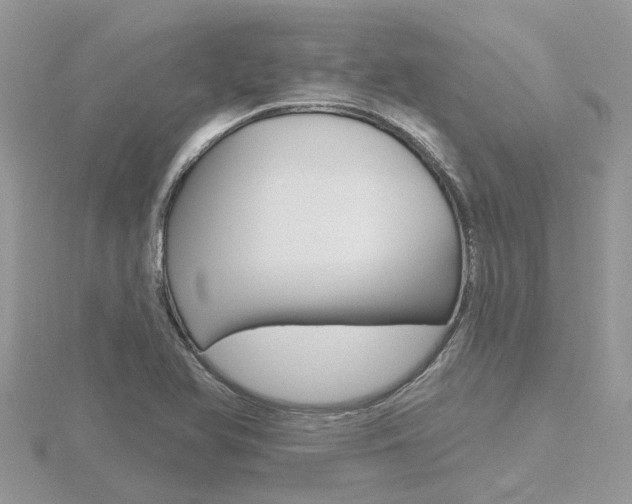 X0000116551366200912100954