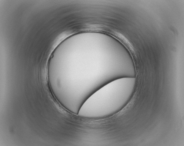 X0000116551370200912100954