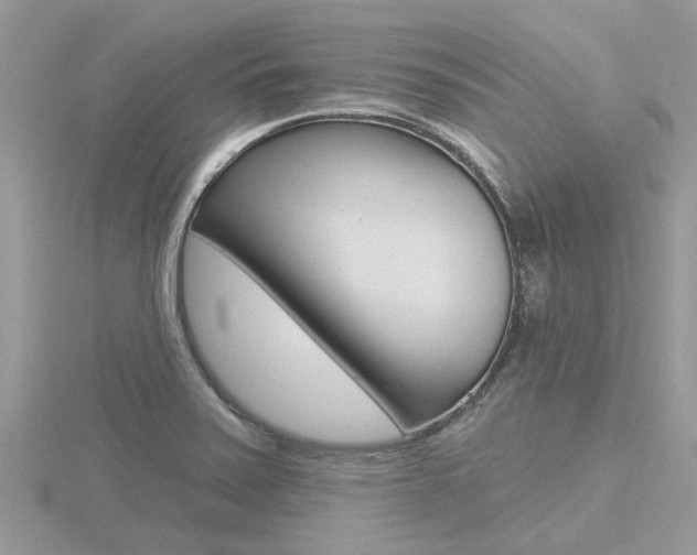 X0000116551371200912100954