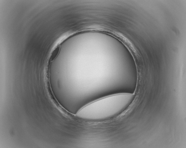 X0000116551373200912100954