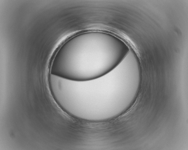 X0000116551376200912100954