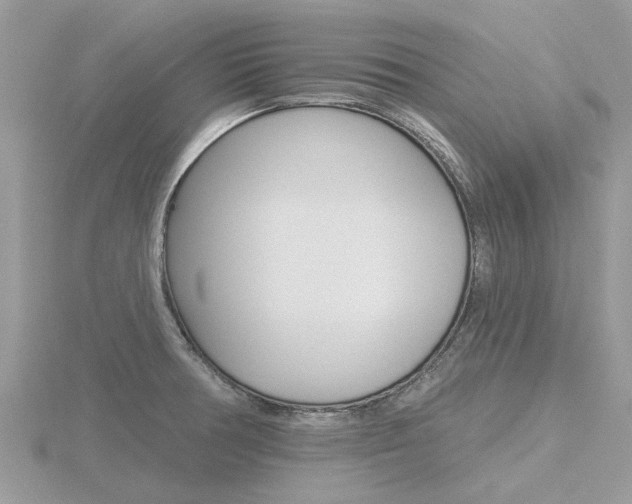 X0000116551378200912100954