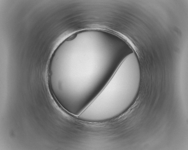 X0000116551387200912100954