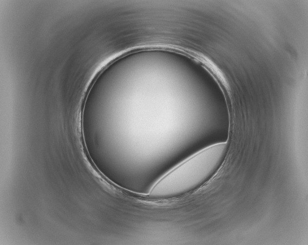 X0000116551388200912100954