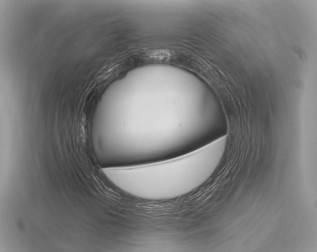 X0000116551394200912100953