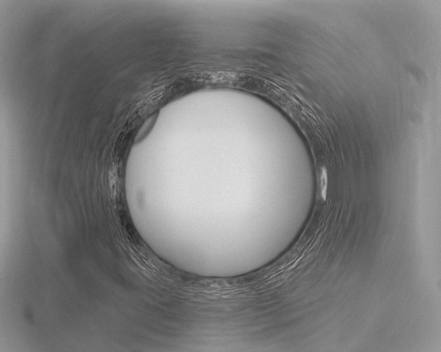 X0000116551395200912100953