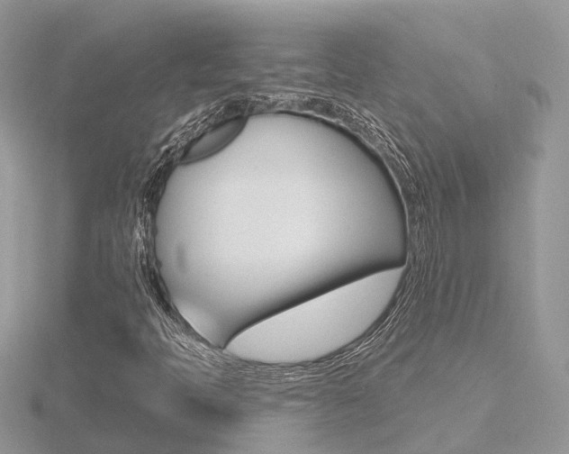 X0000116551397200912100953