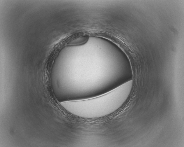 X0000116551398200912100953