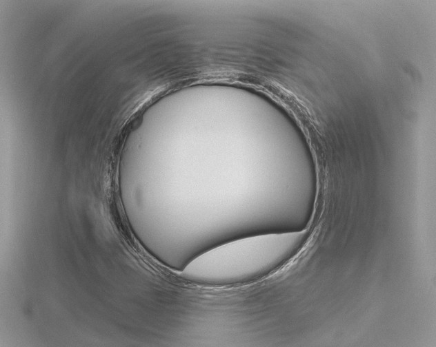 X0000116551401200912100953