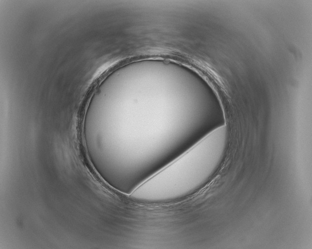 X0000116551404200912100953