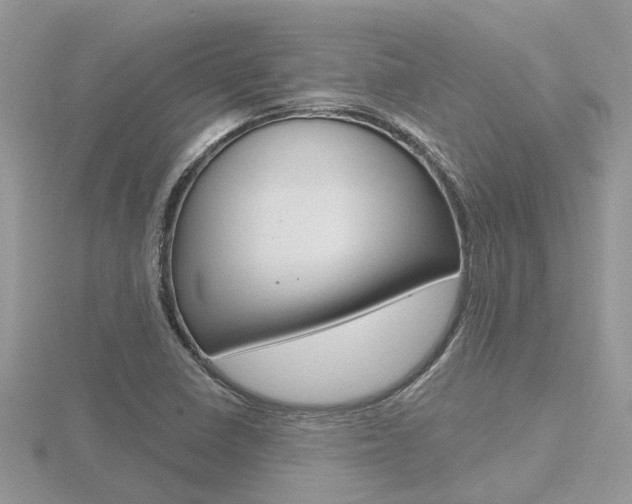 X0000116551410200912100953
