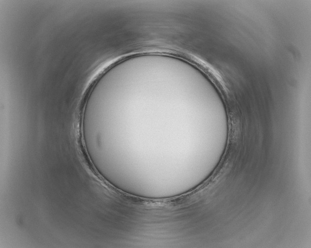 X0000116551415200912100953