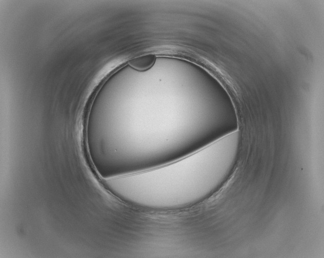 X0000116551418200912100954