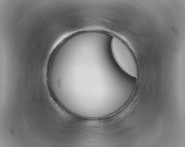 X0000116551422200912100954