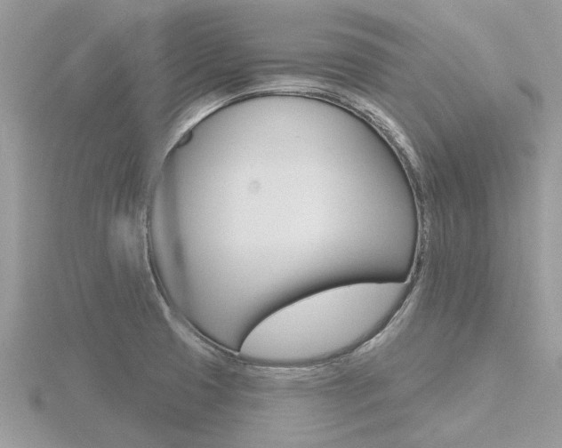 X0000116551425200912100954