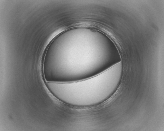 X0000116551426200912100954