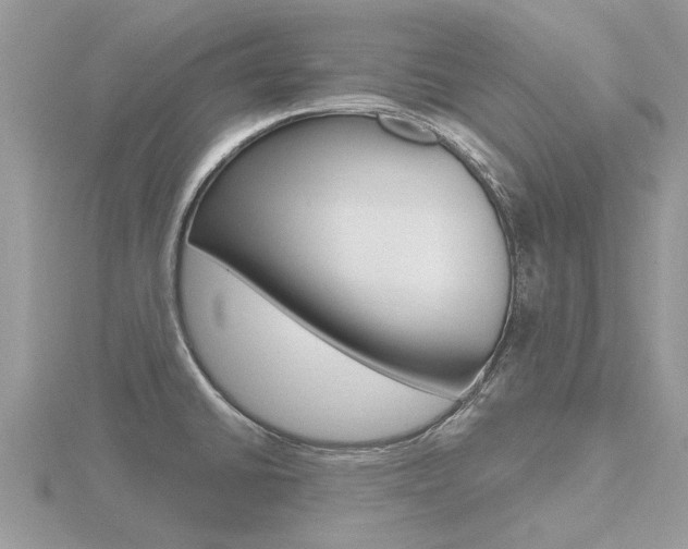 X0000116551430200912100954
