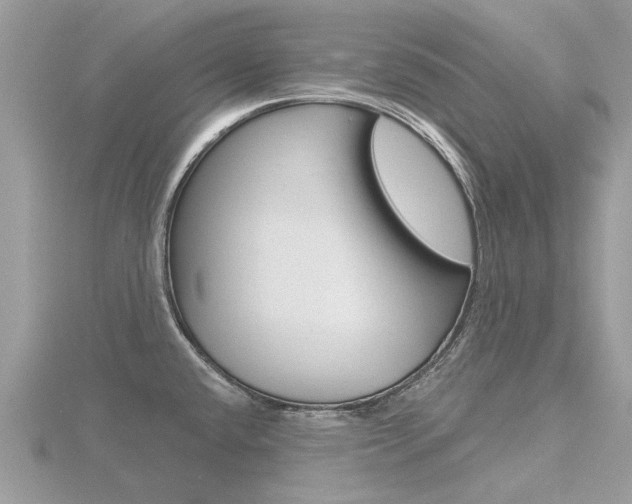 X0000116551432200912100954