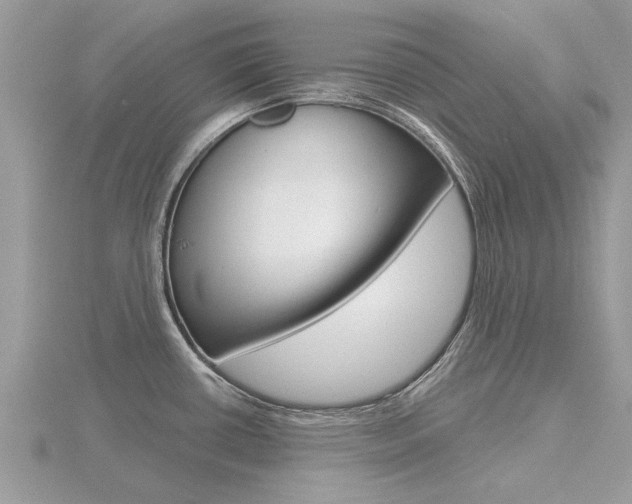 X0000116551434200912100954