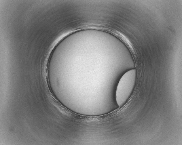 X0000116551435200912100954