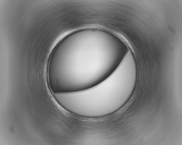 X0000116551438200912100954