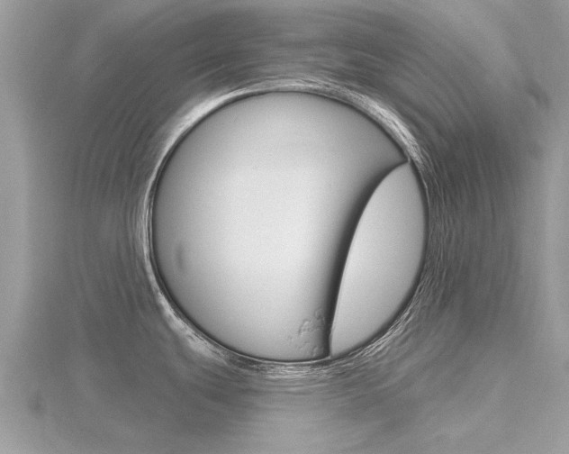 X0000116551439200912100954