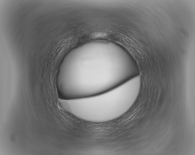 X0000116551441200912100953