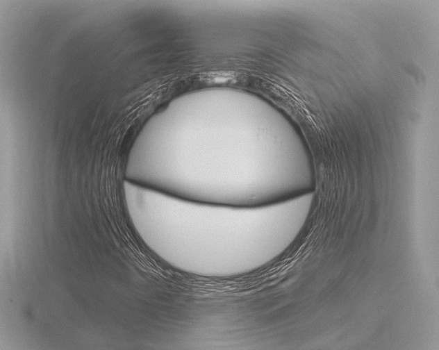X0000116551442200912100953