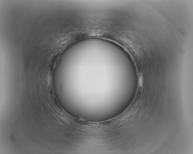 X0000116551444200912100953