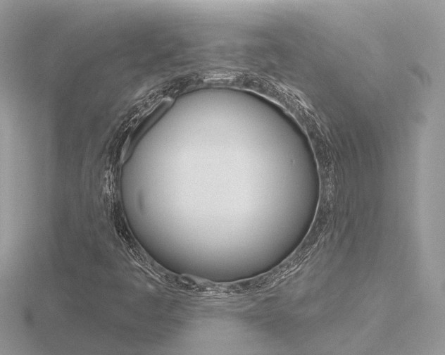 X0000116551445200912100953