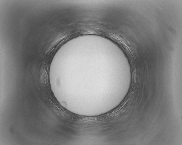 X0000116551446200912100953