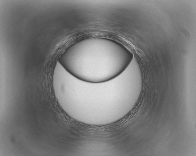 X0000116551447200912100953