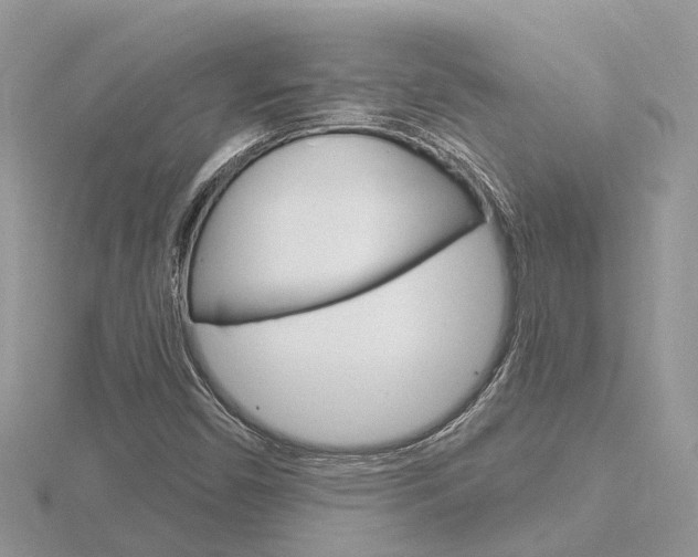 X0000116551450200912100953